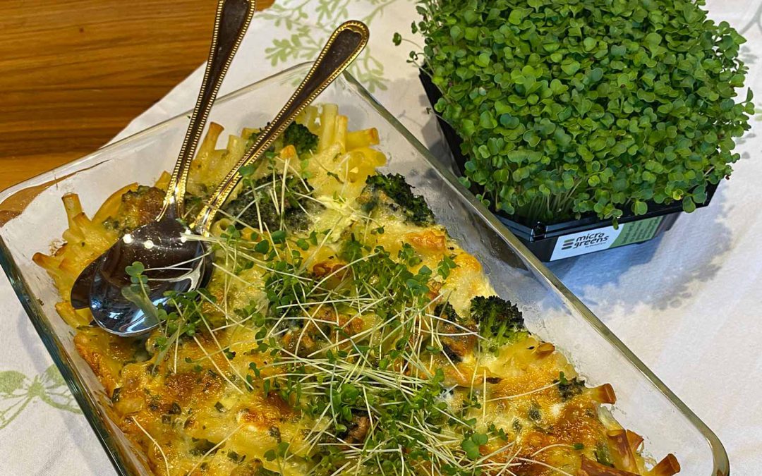 Brokkoli Nudelauflauf