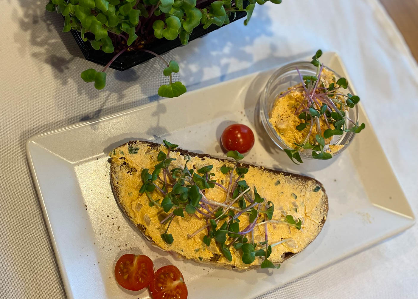 Ertl's Aufstrich nach Liptauer Art