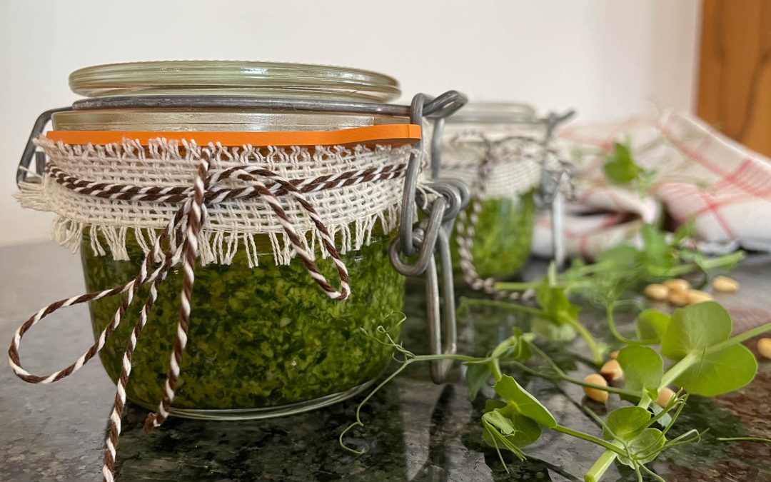 Erbsen-Microgreens-Pesto