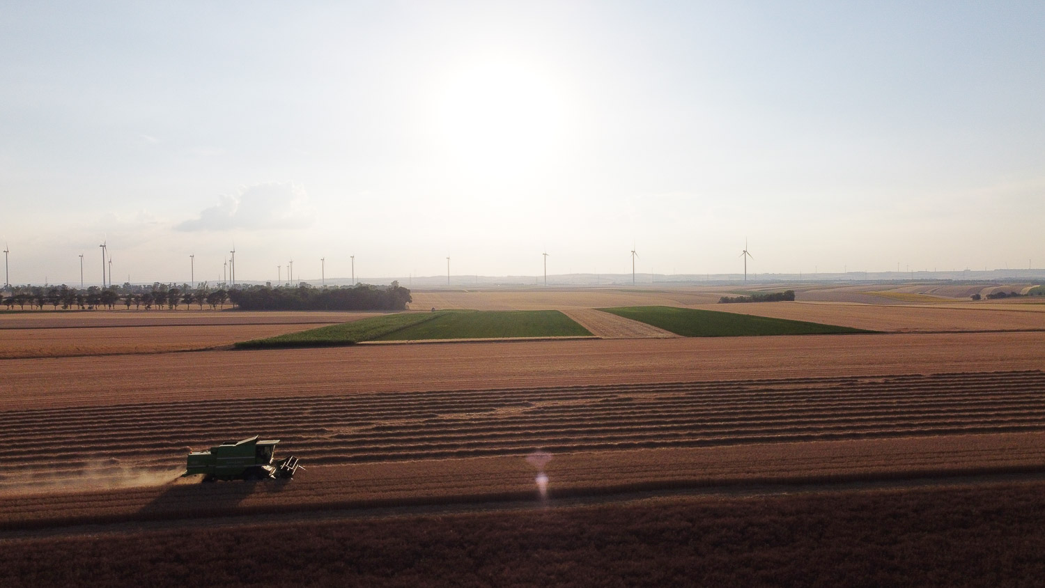 Felder im Sonnenuntergang